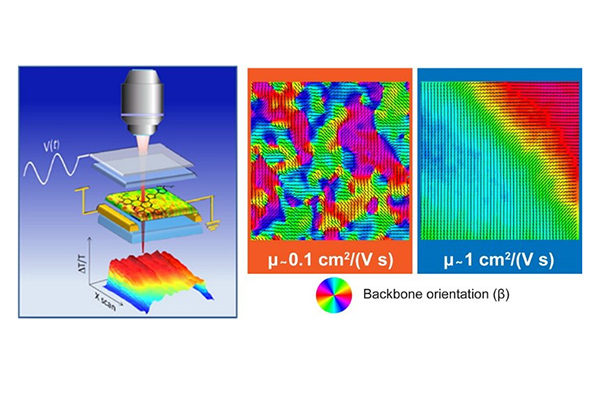 Mapping Orientational Order of Charge-Probed Domains in a Semiconducting Polymer [Reprinted with permission from { ACS Nano 2014, 8, 6, 5968–5978}. Copyright {2014} American Chemical Society]